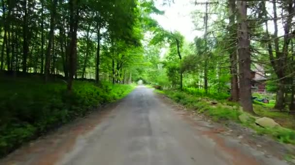 Este Vídeo Mostra Vistas Uma Estrada Cascalho Comunidade Florestal Beaverkill — Vídeo de Stock