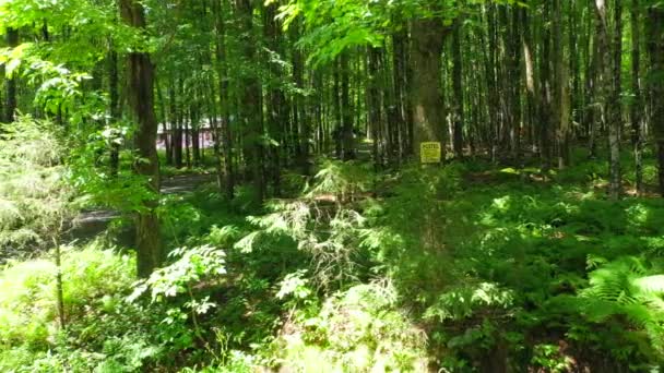 Відео Показує Вигляд Лісистої Хатини Катскіллі — стокове відео