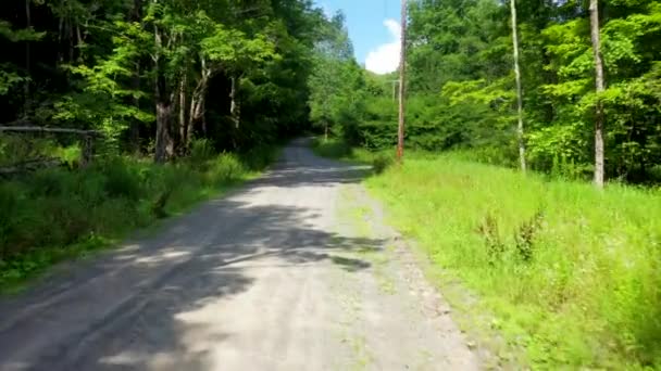Video Catskills Deki Orman Kunduz Öldürme Topluluğu Ndaki Çakıl Yolu — Stok video
