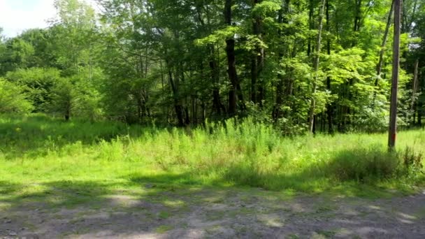 Catskills Güzel Bir Manzarası Var Catskill Dağları Ayrıca Catskills Olarak — Stok video