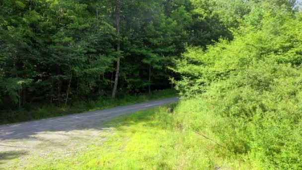 Video Shows Views Gravel Road Forest Community Beaverkill Catskills — Vídeo de stock