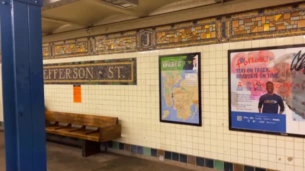 Video Shows Subway Station Stop New York City — Stock video