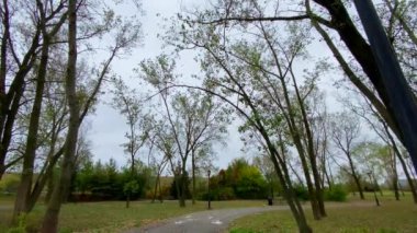 This is a beautiful, scenic view of trees at Gateway Park during the fall.  