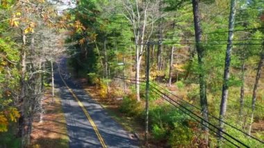 This video shows gorgeous aerial views of colorful trees during the fall season.