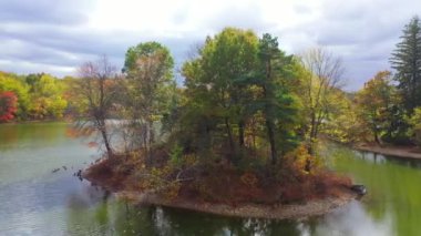 This video shows gorgeous aerial views of colorful trees during the fall season.