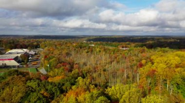 Beautiful shots of colorful trees in the woods during the Autumn season. 