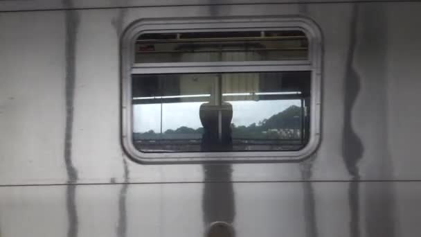这段视频展示了在科维德夏季大流行期间 L型地铁和前往曼哈顿的不同车站 — 图库视频影像
