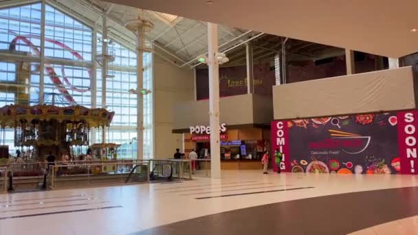 Palisades Center West Nyack New York Second Largest Shopping Mall — Stockvideo