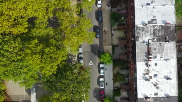 Aerial Video Shows Scenic Birds Eye View Black Lives Matter — Wideo stockowe
