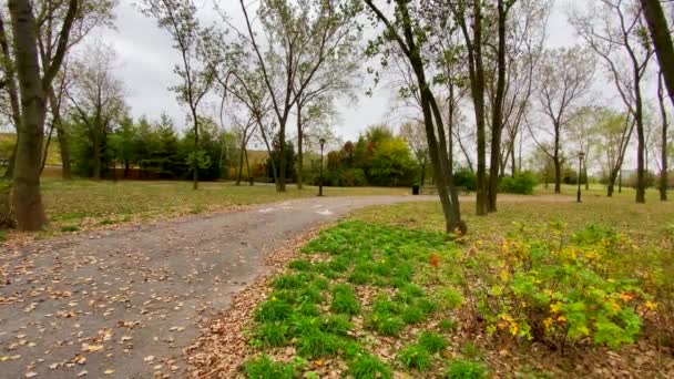 Sonbahar Boyunca Gateway Park Taki Ağaçların Güzel Manzarası — Stok video