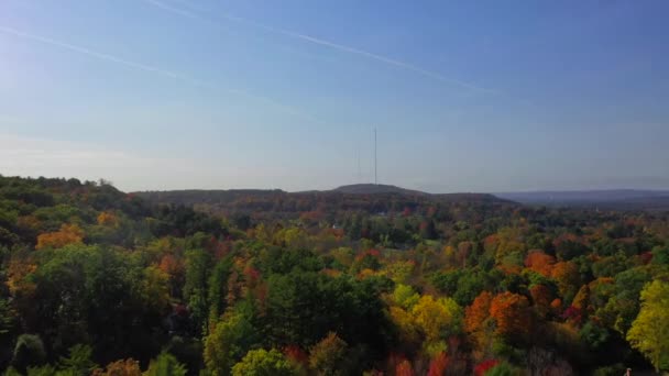 Видео Показывает Великолепные Воздушные Виды Цветных Деревьев Течение Осеннего Сезона — стоковое видео