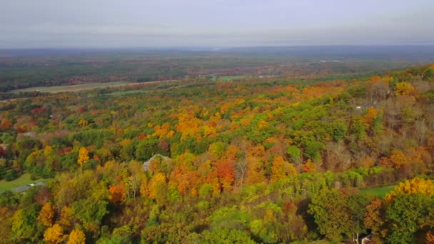 Video Shows Gorgeous Aerial Views Colorful Trees Fall Season — Stock Video