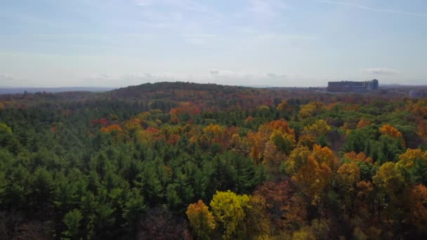 Video Shows Gorgeous Aerial Views Autumn Landscape — Stockvideo