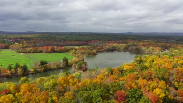 Video Shows Gorgeous Aerial Views Colorful Trees Fall Season — Stockvideo