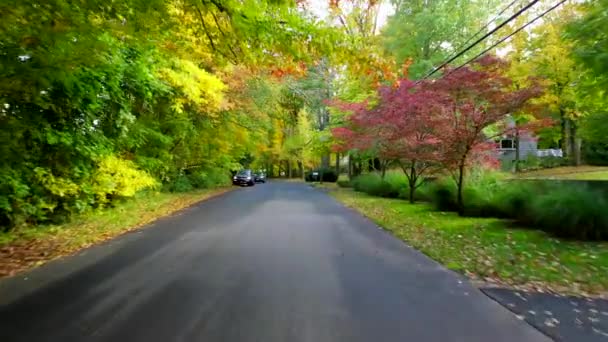 Video Shows Gorgeous Aerial Views Colorful Trees Fall Season — Video Stock