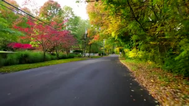 Toto Video Ukazuje Nádherné Letecké Pohledy Barevné Stromy Během Podzimní — Stock video