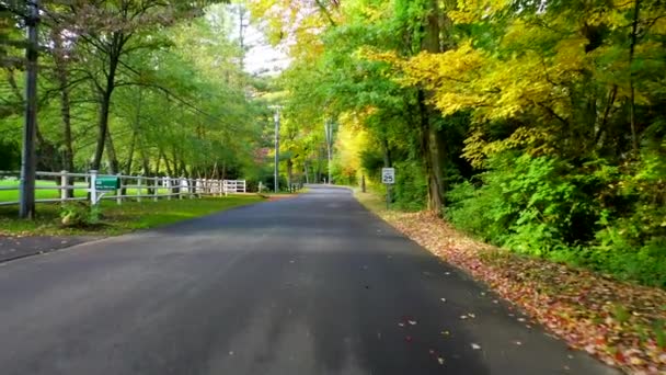 Video Sonbahar Mevsiminde Renkli Ağaçların Muhteşem Hava Görüntülerini Gösteriyor — Stok video
