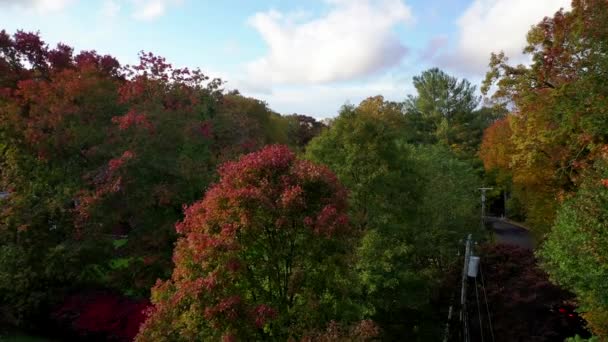 Video Shows Gorgeous Aerial Views Colorful Trees Fall Season — Video Stock