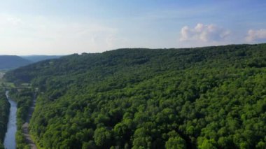 Catskills 'deki küçük bir derenin güzel bir görüntüsü. Catskill Dağları (ayrıca Catskills olarak da bilinir), güneydoğu New York 'ta bulunan büyük Appalachian Dağları' nın bir fizyografik eyaletidir..