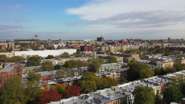今天早上的录像显示了纽约布鲁克林一个褐石社区的风景街道景观 — 图库视频影像