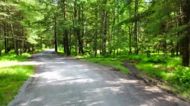Bu video, ormandan geçerek yaz kampına giden bir yolun havadan çekilmiş görüntülerini gösteriyor.. 
