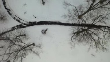 Bu video Brooklyn, New York 'ta karla kaplı bir parkın hava görüntüsünü gösteriyor..  