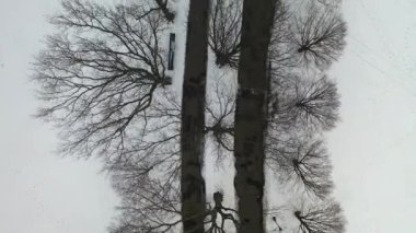 Bu video Brooklyn, New York 'ta karla kaplı bir parkın hava görüntüsünü gösteriyor..  