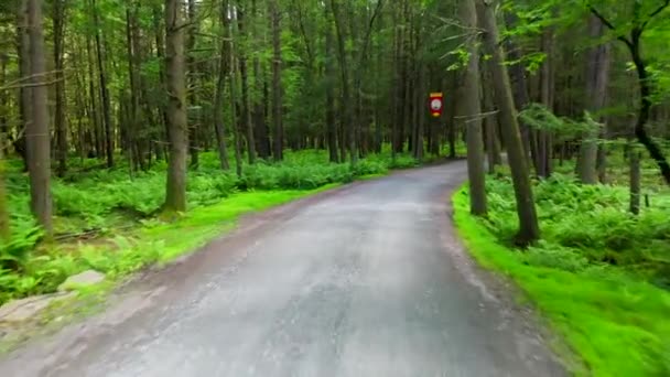 Video Shows Aerial Shot Road Path Going Woods Summer Camp — Video Stock