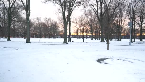 Αυτό Βίντεο Δείχνει Μια Εναέρια Άποψη Ενός Χιονισμένου Πάρκου Στο — Αρχείο Βίντεο