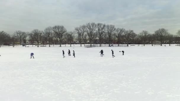 Videó Egy Hóval Borított Park Légi Felvételét Mutatja Brooklynban New — Stock videók