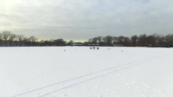 Acest Videoclip Prezintă Vedere Aeriană Unui Parc Acoperit Zăpadă Din — Videoclip de stoc