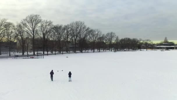 Denna Video Visar Flygbild Snötäckt Park Brooklyn New York — Stockvideo