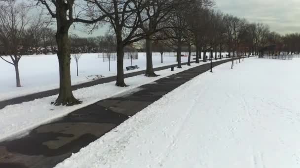 Este Video Muestra Una Vista Aérea Parque Cubierto Nieve Brooklyn — Vídeo de stock