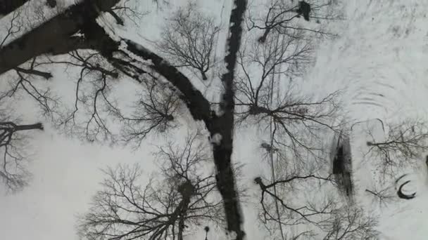 Video Brooklyn New York Karla Kaplı Bir Parkın Hava Görüntüsünü — Stok video