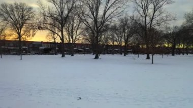 Bu video Brooklyn, New York 'ta karla kaplı bir parkın hava görüntüsünü gösteriyor..  