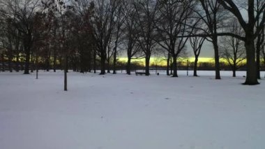 Bu video Brooklyn, New York 'ta karla kaplı bir parkın hava görüntüsünü gösteriyor..  