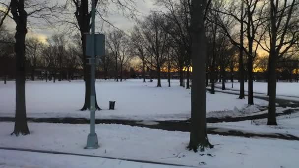 これは ニューヨーク州ブルックリンの雪に覆われた公園の空中ビューです — ストック動画