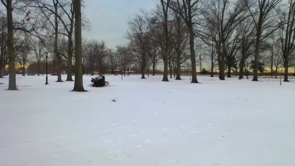 これは ニューヨーク州ブルックリンの雪に覆われた公園の空中ビューです — ストック動画