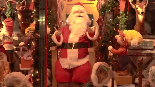 このビデオは カナーシー ブルックリンの有名なセディオ クリスマス ハウスの眺めを示しています 50年以上前から展示されています — ストック動画