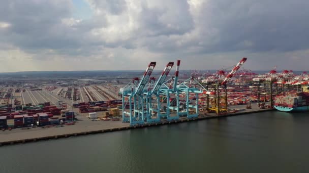 Video Shows Epic Aerial Views Newark Bay New Jersey — Stock Video