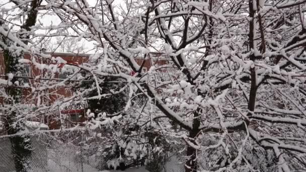 这段视频展示了布鲁克林社区被雪覆盖的房屋的夜景 — 图库视频影像