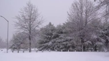  Bu, kar fırtınası sırasındaki bir parkın havadan görüntüsü.. 