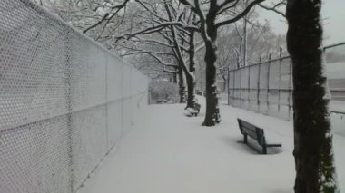 Bu Brooklyn 'deki Linden Park' ın güzel bir kış manzarası..
