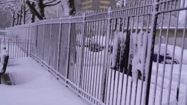 Bu, parktaki karla kaplı ağaçların hava manzarası..