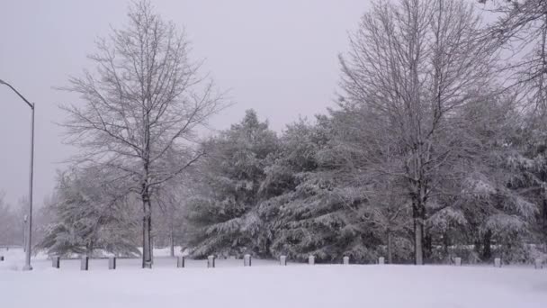 Kar Fırtınası Sırasındaki Bir Parkın Havadan Görüntüsü — Stok video