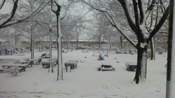 Krásný Zimní Výhled Linden Park Brooklynu — Stock video