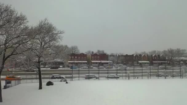 Brooklyn Deki Linden Park Taki Karla Kaplı Ağaçların Hava Manzarası — Stok video