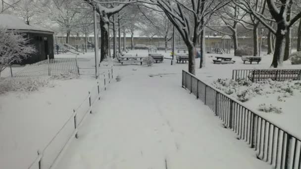 Piękny Widok Powietrza Pokrytych Śniegiem Drzew Linden Park Brooklynie — Wideo stockowe