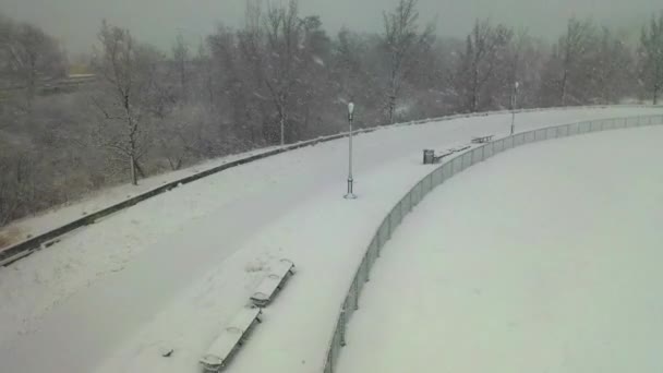 ブルックリンのリンデン パークで雪に覆われた木々の美しい空中眺めです — ストック動画