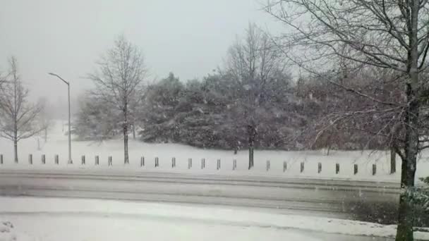 Αυτή Είναι Μια Όμορφη Εναέρια Άποψη Των Χιονισμένων Δέντρων Στο — Αρχείο Βίντεο